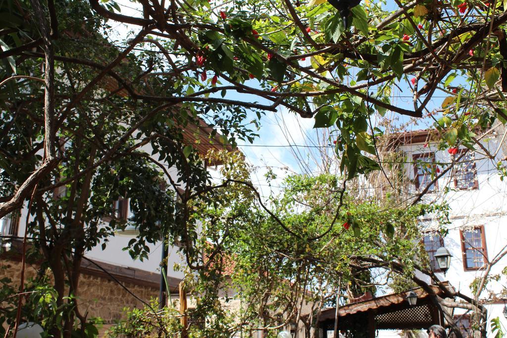 Lazer Pension อันตัลยา ภายนอก รูปภาพ