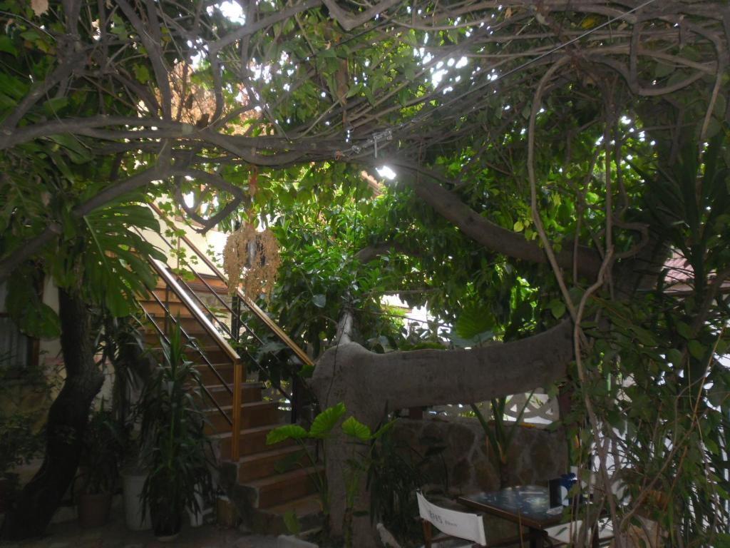 Lazer Pension อันตัลยา ภายนอก รูปภาพ